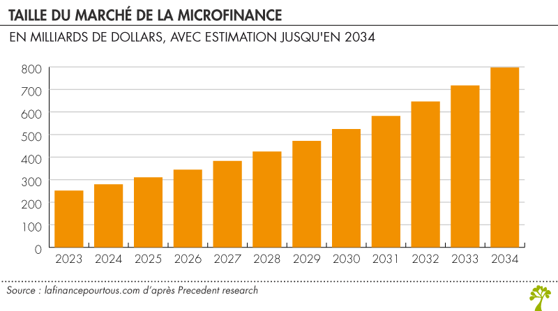 Microcrédit estimation évolution