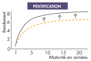 pentification de la courbe des taux